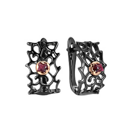 Серьги AY-E00125-X-BG-Pin-X-X серебро